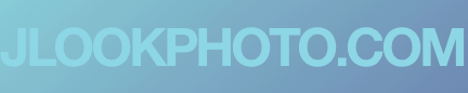 shapeimage_2_link_0